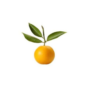 Bergamot Essential Oil (FCF)