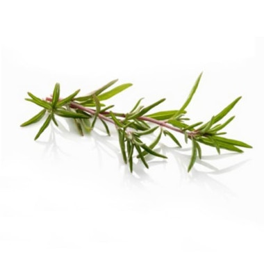 Rosemary Floral Water