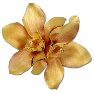 Gold Orchid 3 in 1