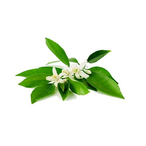 Neroli 100 ml