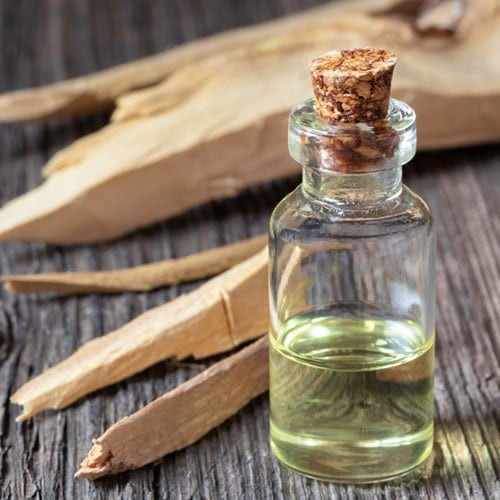 White Sandalwood 100 ml