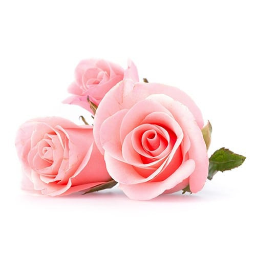 Rosaline 3in1 100 ml