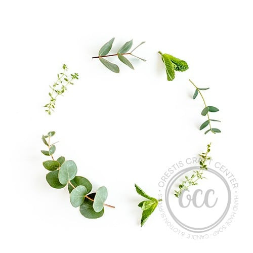 Eucalypt and mint 3in1 100 ml