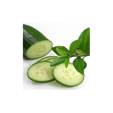 Cucumber Floral Water 100 ml