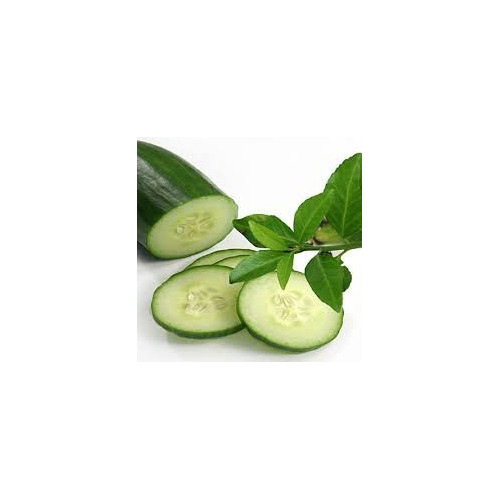 Cucumber Floral Water 100 ml