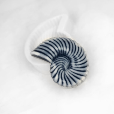 Cone shaped shell