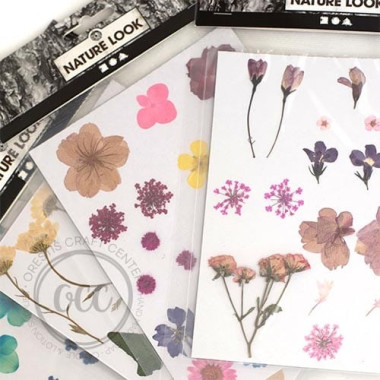 Pressed flowers and botanicals