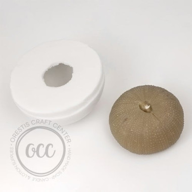 Sea urchin for candle