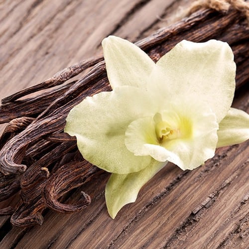 Oud Vanilla 3in1 100 ml