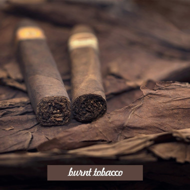 Burnt Tobacco (Για κερί/σαπούνι) 100 ml