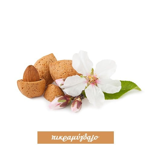 Bitter Almonds (For candles) 100 ml