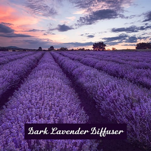 Dark Lavender Diffuser