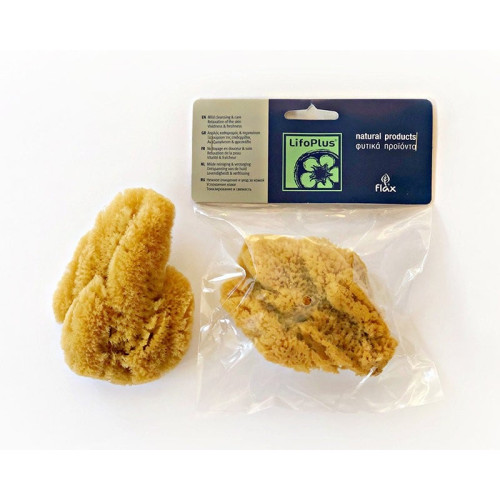 Natural sea sponge