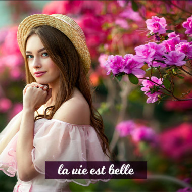 La Vie Est Belle (Τύπου) 3in1