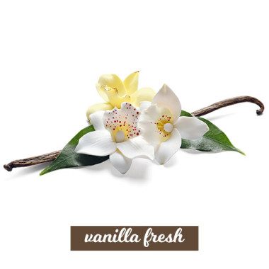 Vanilla Fresh 3in1 100 ml