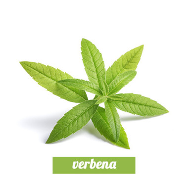 Verbena (For candles)