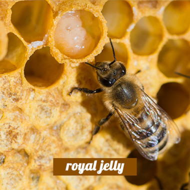 Royal Jelly 3in1