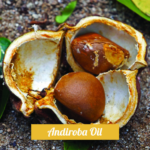 Andiroba Oil