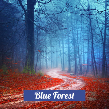 Blue Forest 3in1