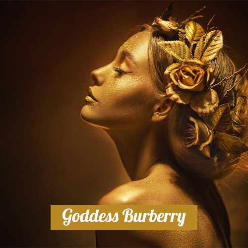 Goddess Burberry 3in1