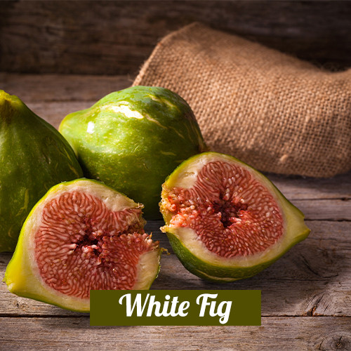 White Fig 3in1 (Τύπου)
