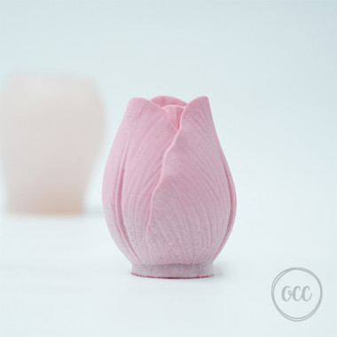 Tulip Bud