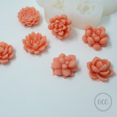 Succulents