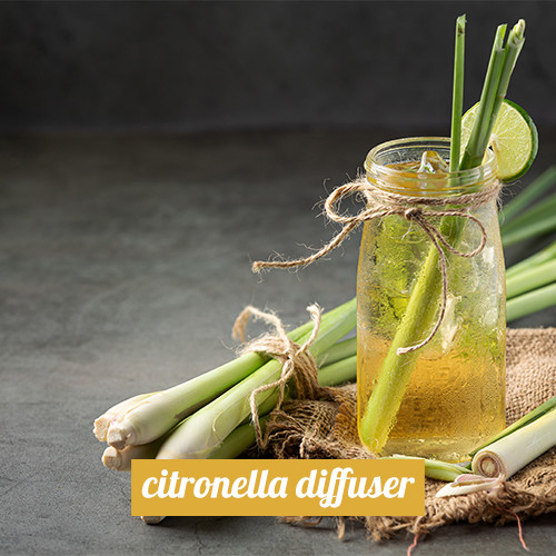 Citronella Diffuser