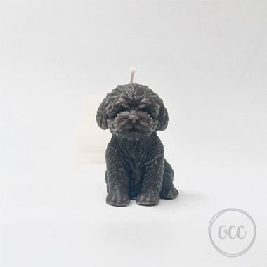 Maltese Dog