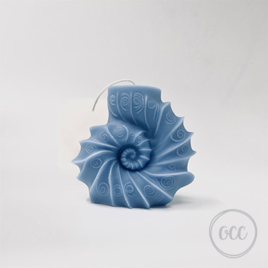 Ammonite