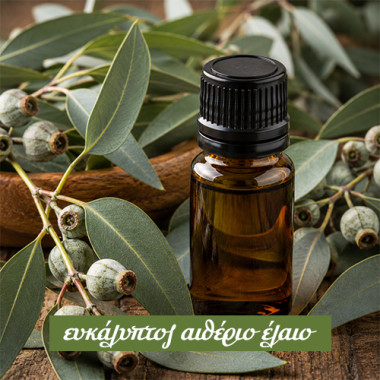 Eucalyptus Essential Oil