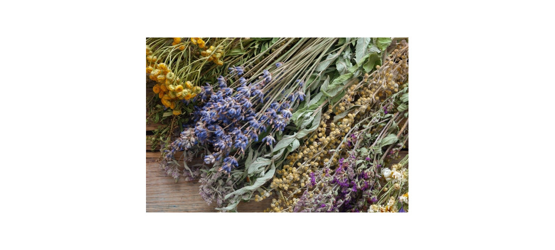 Herbs & Dried Flowers