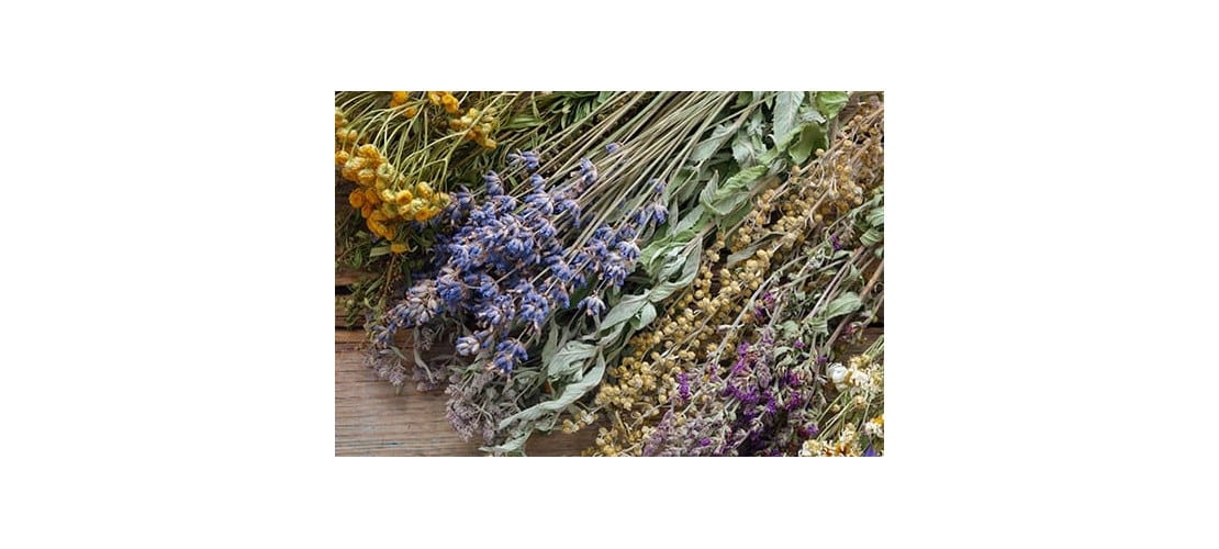 Herbs & Dried Flowers