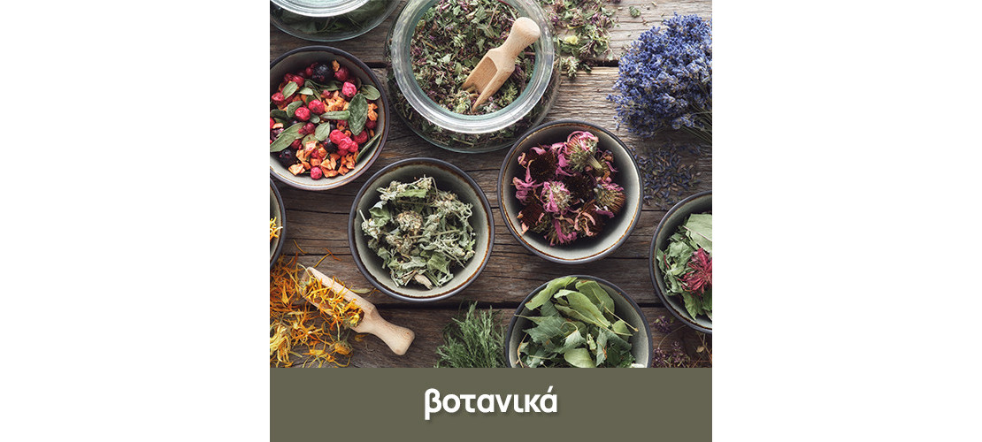 Herbal