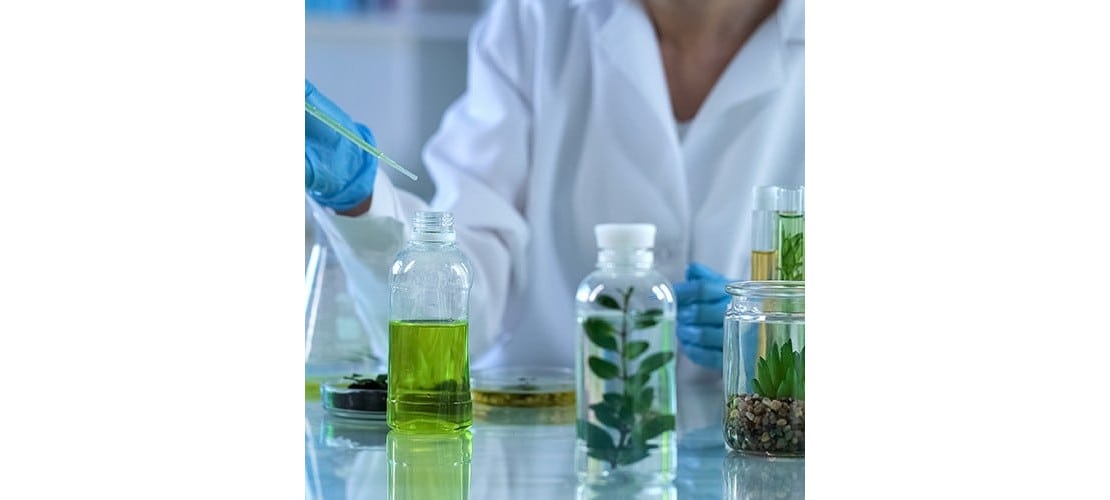 Fragrance Making