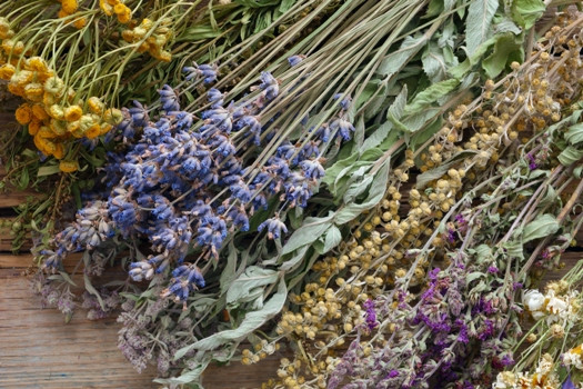 Herbs & Dried Flowers